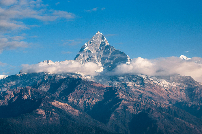 Ilustrasi Ekosistem Gunung