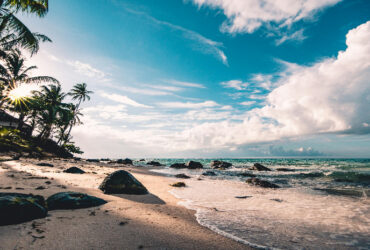 Ekosistem Pantai