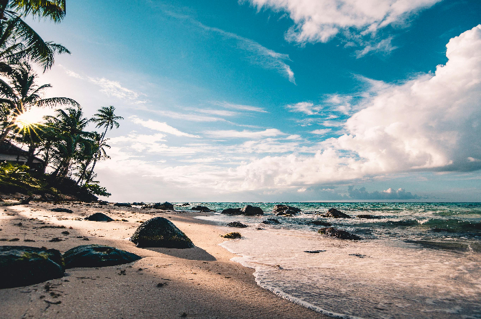 Ekosistem Pantai